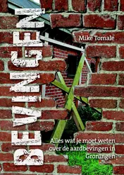 Omslag van Bevingen