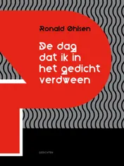 Omslag van De dag dat ik in het gedicht verdween