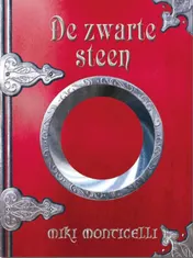 Omslag van De zwarte steen