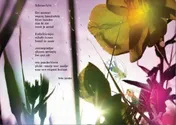 Omslag van 2011 Jeugd en poezie