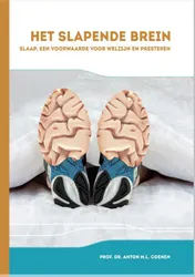 Omslag van Het slapende brein