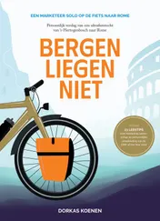 Omslag van Bergen liegen niet