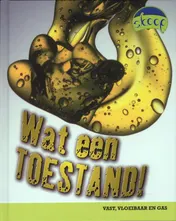 Omslag van Wat een toestand