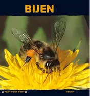 Omslag van Bijen