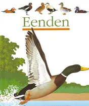 Omslag van Eenden