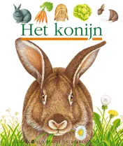 Omslag van Het konijn