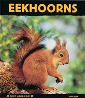 Omslag van Eekhoorns