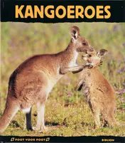 Omslag van Kangoeroes