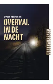 Omslag van Overval in de nacht