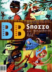 Omslag van Snorro