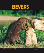 Omslag van Bevers
