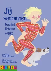 Omslag van Jij van binnen