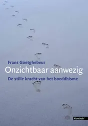 Omslag van Onzichtbaar aanwezig