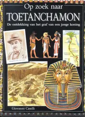 Omslag van Toetanchamon