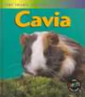 Omslag van Cavia