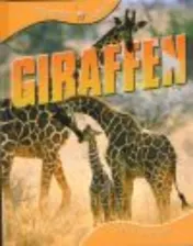 Omslag van Giraffen