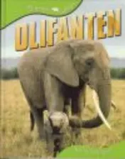 Omslag van Olifanten