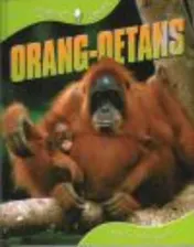 Omslag van Orang Oettangs