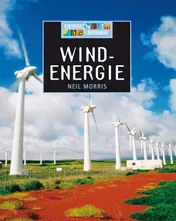 Omslag van Windenergie