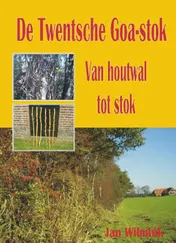 Omslag van De Twentsche Goa-stok