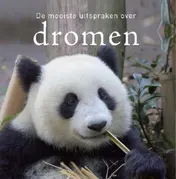 Omslag van Dromen