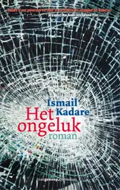 Omslag van Het ongeluk