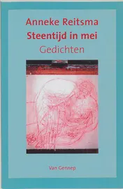 Omslag van Steentijd in mei