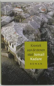 Omslag van Kroniek van de stenen stad