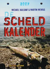 Omslag van De scheldkalender