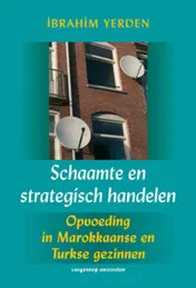 Omslag van Schaamte en strategisch handelen
