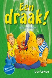 Omslag van Een draak!