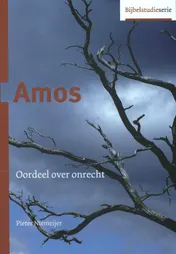 Omslag van Amos