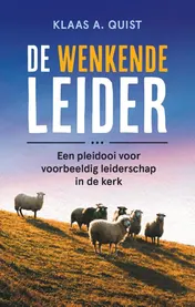 Omslag van De wenkende leider
