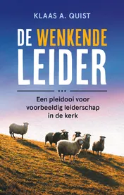 Omslag van De wenkende leider