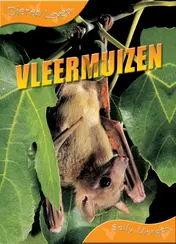 Omslag van Vleermuizen
