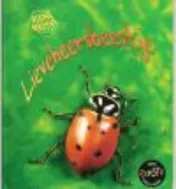 Omslag van Lieveheersbeestje