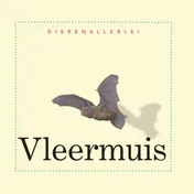 Omslag van Vleermuis