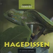 Omslag van Hagedissen