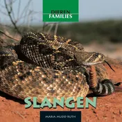 Omslag van Slangen