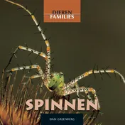 Omslag van Spinnen