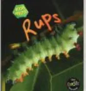 Omslag van Rups