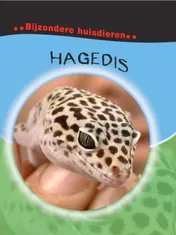 Omslag van Hagedis