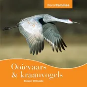 Omslag van Ooievaars & kraanvogels