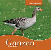 Omslag van Ganzen