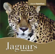 Omslag van Jaguars
