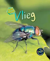 Omslag van Vlieg
