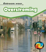 Omslag van Overstroming