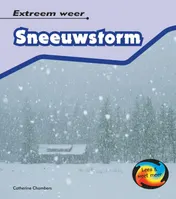 Omslag van Sneeuwstorm
