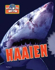 Omslag van Haaien