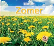 Omslag van Zomer